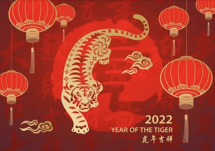 Ein Tiger vor roten Lampions, symbolisiert das Jahr des Tigers 2022.